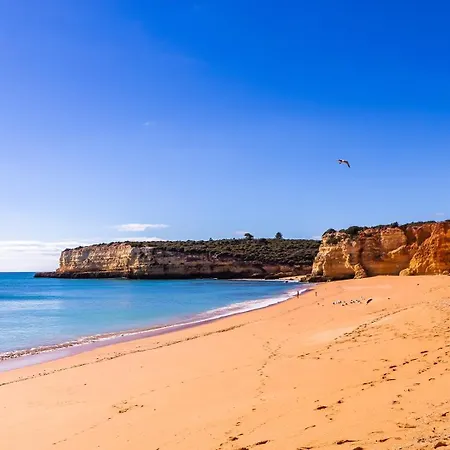 Casa Azul 1 - Senhora Da Rocha, Algarve Porches (Algarve)